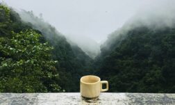 té